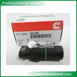 Quality Cummins ISX15 engine position sensor 4921599 / 4921600 for sale