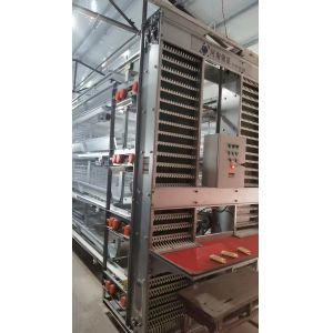 A / H Type Layer Poultry Cages , HDG 54-384 Chicken Egg Laying Machine