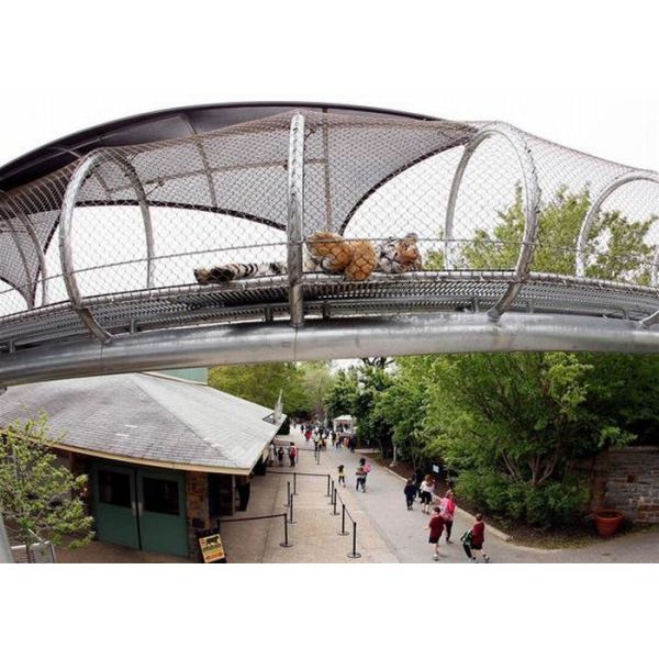 Stainless Steel Animal Enclosure Mesh Lightweight Leopard Mesh Protection