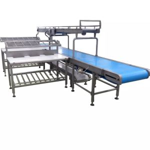 Stainless Steel 304 Slaughterhouse Cow Machine Polyurethane Rubber Hair Plucking