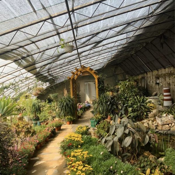 Flower Planting Sunlight Greenhouse
