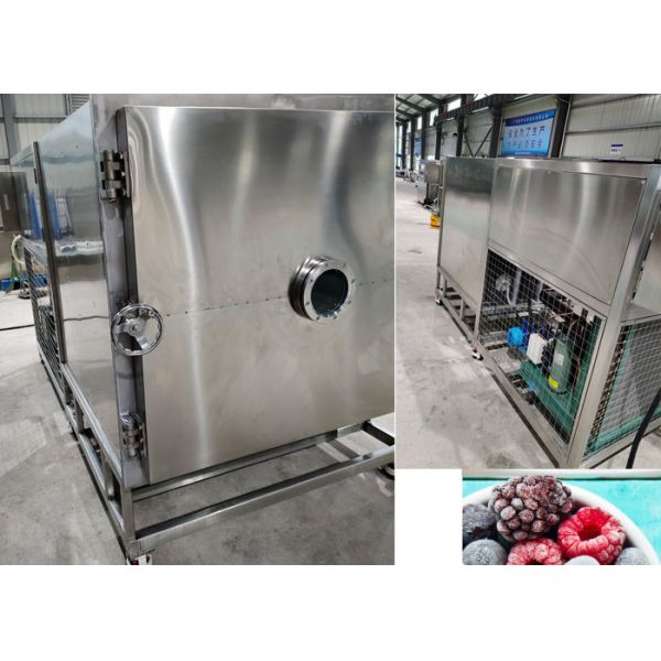 Buy Candy Pet Food Vacuum Freeze Drying Machine - Bitzer Refrigeration System at wholesale prices