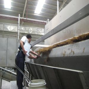 China Automatic Steam Heating Conveyor Belt Dryer Seaweed Belt Dryer Conveyor on sale