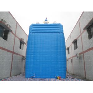 Giant Inflatable Clown Slide (CYSL-14)