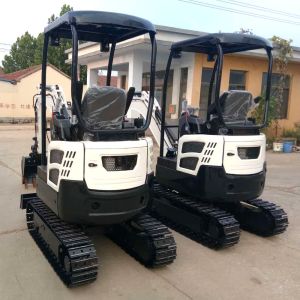 Japan Engine Hightop Mini Excavator 2tone Small Digging Equipment