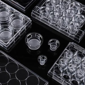 Quality Laboratory Experiment Well Volume 2.6ml Cell Insert for sale