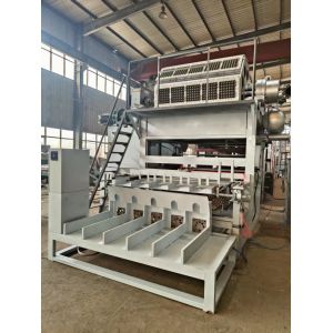 China Fully Automatic 5x8 Molds Paper Egg Tray Machine 5000pcs/h on sale