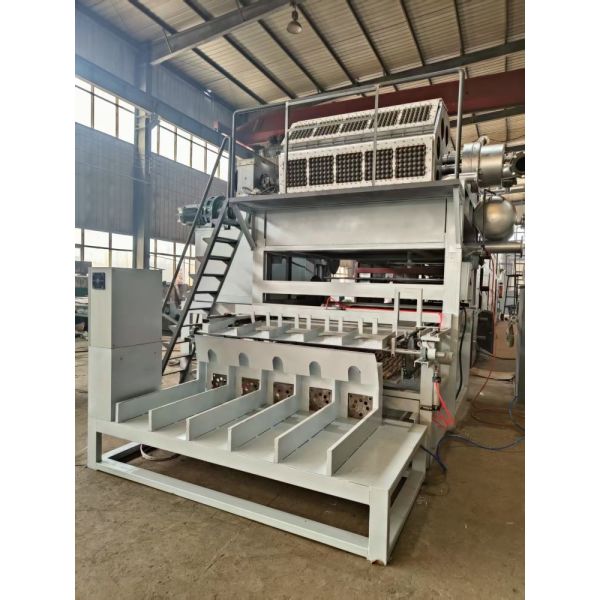 Buy Fully Automatic 5x8 Molds Paper Egg Tray Machine 5000pcs/h at wholesale prices