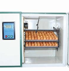 China 360 Degree Automatic Chicken Egg Incubator Hatchers Ventilated on sale