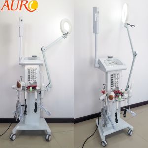 Quality Multifunctional Facial Beauty Steamer Machine 14 In 1 For Face Lifting for sale