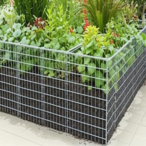 Heavy Duty Galvanized Gabion Wall Planting with 3-6 mm Wire Diameter and 50x50