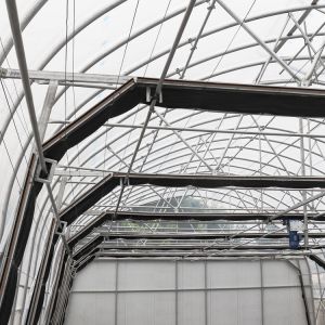 Agricultural Tunnel Fully Automated Light Deprivation Greenhouse Single-span