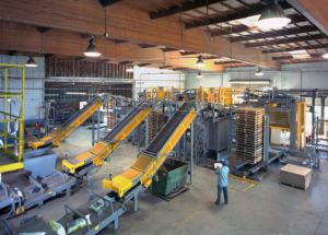 Quality Carton Automated High Level Palletizer Load Holding / Moving Multi - Functional for sale
