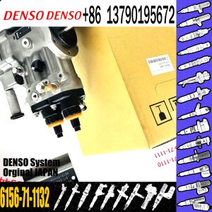 Fuel injection pump Assy 6D125 094000-0463 6156-71-1132