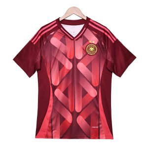 2025-2026 Germany Fan Edition Away Jersey Group Customization