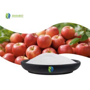 5% 10% Apple Extract Apple Cider Vinegar Powder