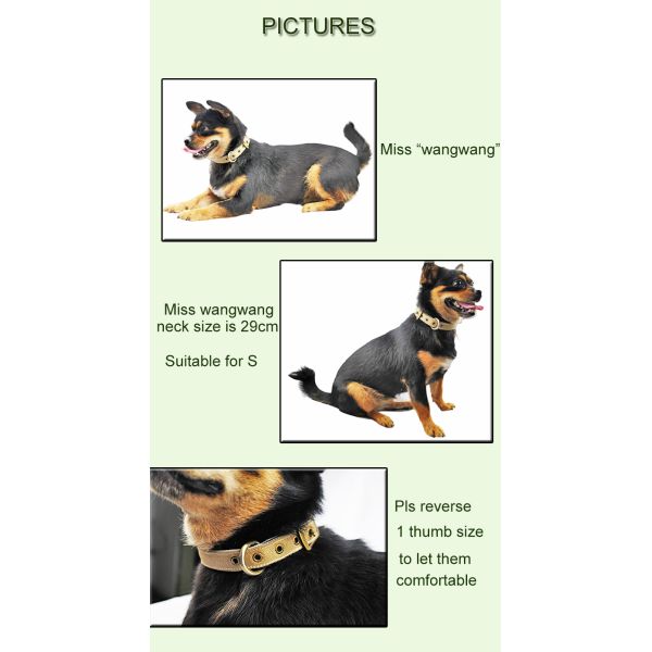 C505 Wholesale Adjustable Canvas Cotton Waterproof Pet Dog Training Collar Sublimation