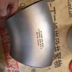 Blind Nutflens Volgens Stainless Steel Fittings DIN 11864 Blank Nutflange