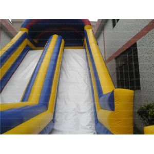 Fun Inflatable Slide for Party (CYSL-44)