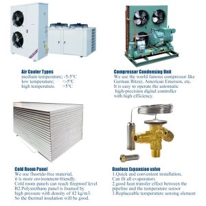 Commercial Cold Room Freezer For Fruits And Vegetables