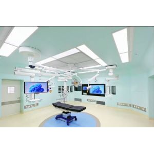 Laminar Cleanroom Ceiling light