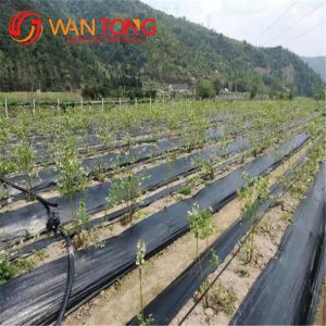 200G/M2 Anti-UV Garden Weeding PP Woven Geotextile for Ground Cover and