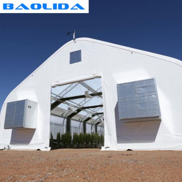 Buy Sides Ventilation Light Deprivation Greenhouse Hot Dip Galvanized at wholesale prices