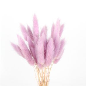 Decorative Dried Rabbit Tail Grass , Indoor Ornamental Grass Bunny Tails