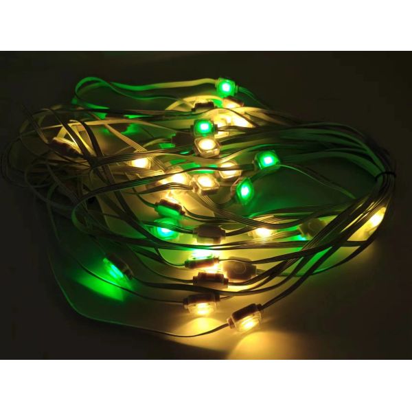 Buy outdoor holiday lights IP67 Smart Wifi Controller House Exterior Led Lights Pixel Outdoor Holiday Lights at wholesale prices