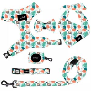 China Wholesale Fashion And Popular Printing Pet Supplies Dog Harness Set on sale