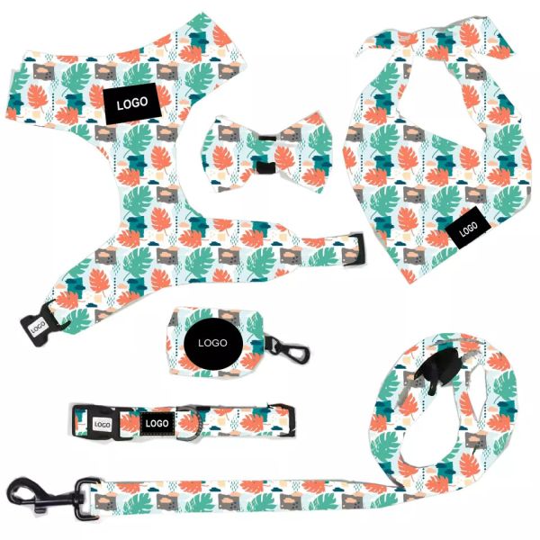 Buy Wholesale Fashion And Popular Printing Pet Supplies Dog Harness Set at wholesale prices