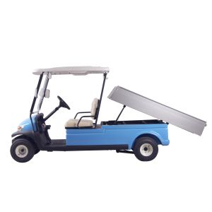 48V TROJAN Battery Electric Utility Car With Cargo Box for 2 Passengers Strong
