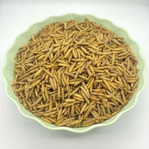 Quality Availability Widely Available Dried Black Soldier Fly in Carton Packaging for sale