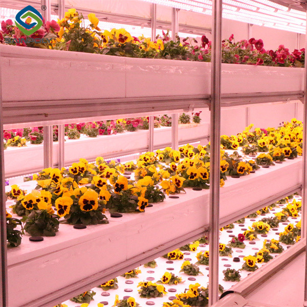 Buy Toughened Clear Glass Flower Greenhouse Customized With Automatic Systems at wholesale prices