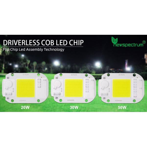 Customized Logo AC COB LED