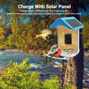 Smart Bird Feeder with Camera Wifi App Install AI Recognize Bird Species