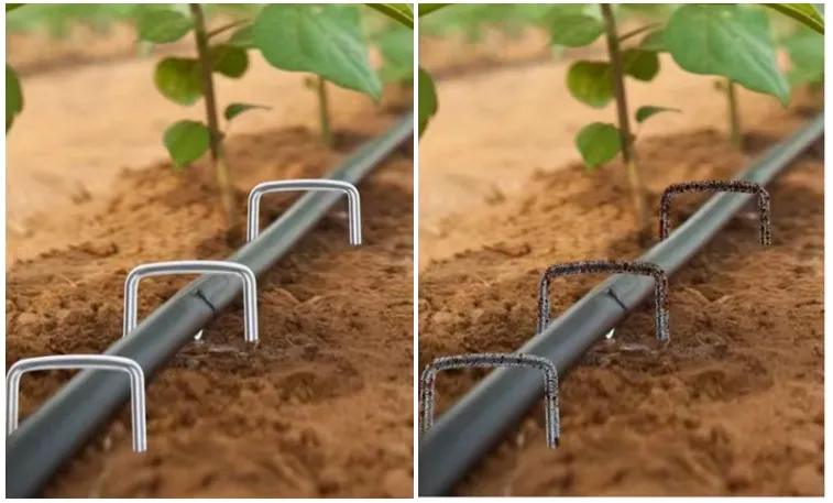 Insect Net Fixing Peg Turf Securing SOD Staples Galvanized Steel Garden Nail