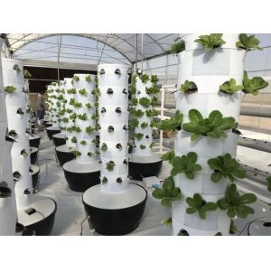 Customized Length Greenhouse Benches with Modern Design Option