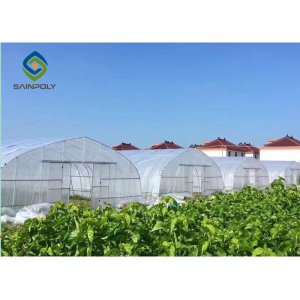 Buy 4mm Polyethylene Film Greenhouse at wholesale prices