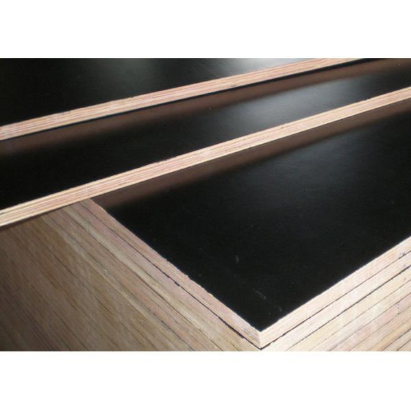 Buy Finger Jointed 21mm Black Film Faced Plywood at wholesale prices