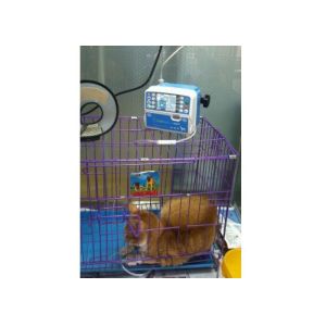 600ml/H Animal Vet 0-36000ml Veterinary Infusion Pump