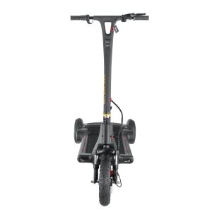 36V Lithium Battery 250W Adult Stand Up Scooter