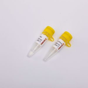 Quality Gold Reverse Transcriptase PCR Reagents R3001 2000U for sale