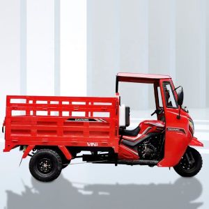 Quality Powerful Cargo Freight Motor Tricycle with 1000W Power and 5.0-12 Tyre for sale