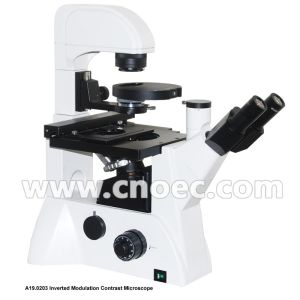 Bright Field Inverted Modulation Phase Contrast Microscope Infinity Plan A19