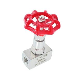 1 Year Warrenty J13W Stainless Steel High Pressure Needle Valve with Female