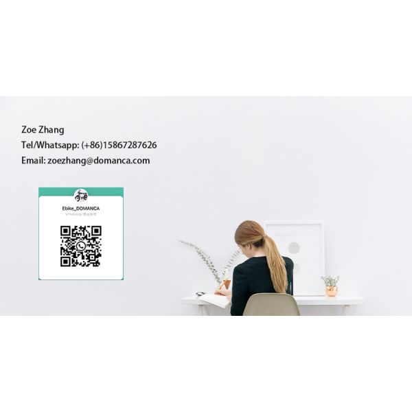 High Capacity Ebike Electric Bike with Rainproof Front Wooden Box and 36V 13Ah Battery