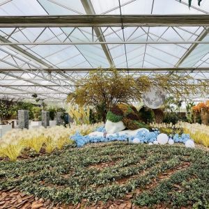 Customized Request Glass Greenhouse with Flower System and Customized Roofing