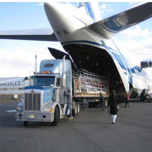 Carrier Logistics Ddu Dhl Express Freight From China To Japan