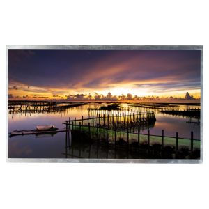 17.0 Inch 1440*900 TFT LCD Screen Display Original HSD170PG11-A